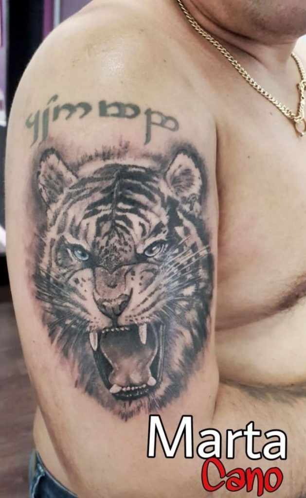 Tatuaje tigre estilo realismo ene la brazo