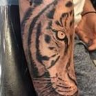 Tatuaje tigre estilo realismo
