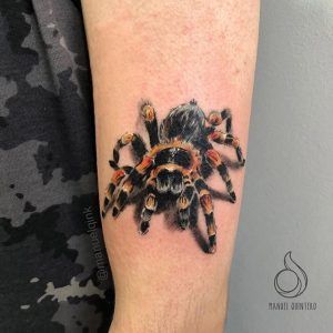 Tatuaje de una tarántula estilo realismo a color en el antebrazo