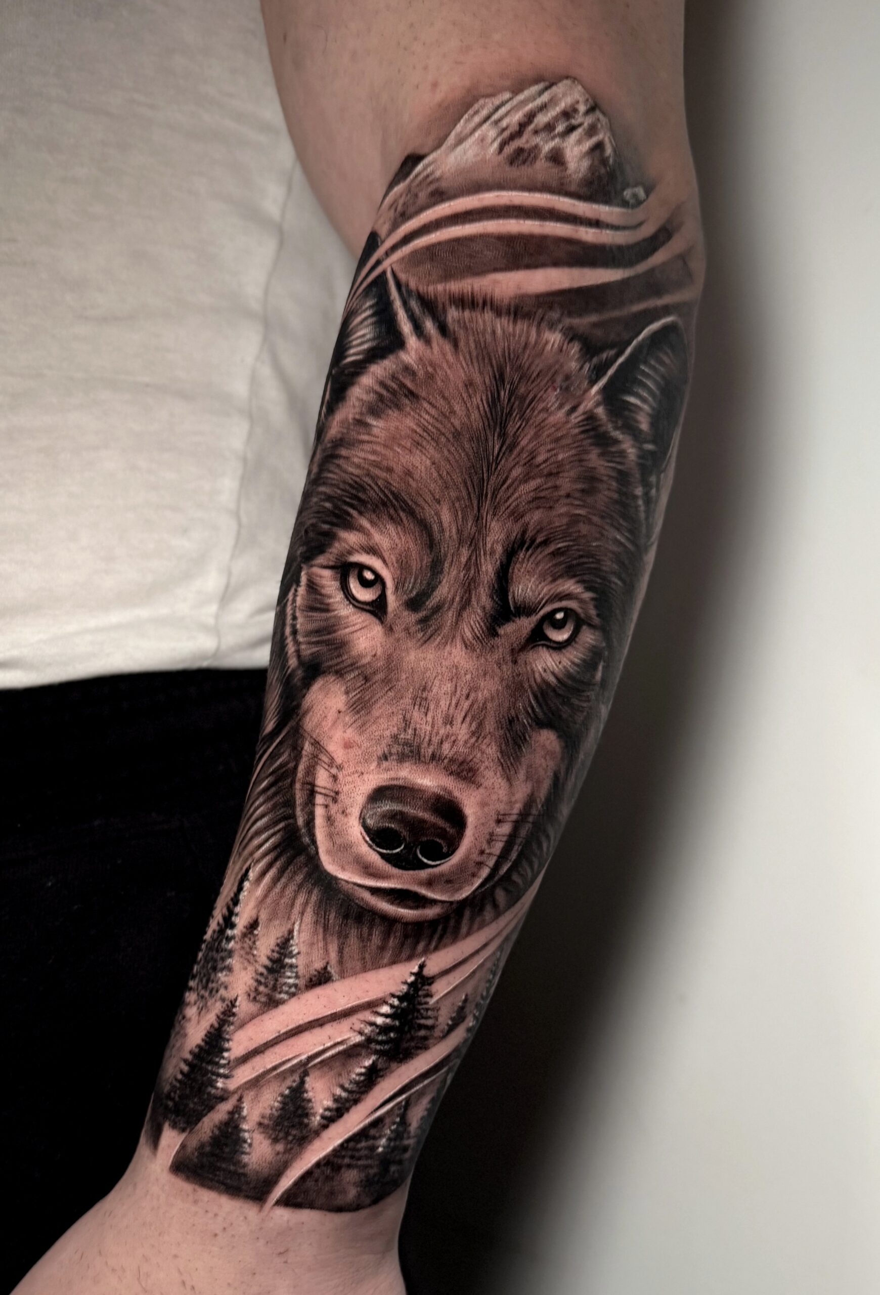 Galería 2024 tatuaje realismo calavera