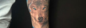 tatuaje realismo a color lobo