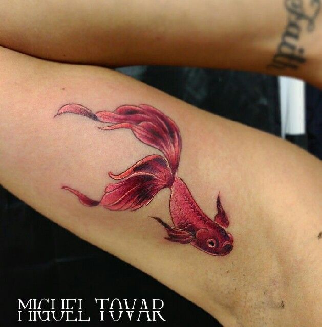 tatuaje de pez rojo a color