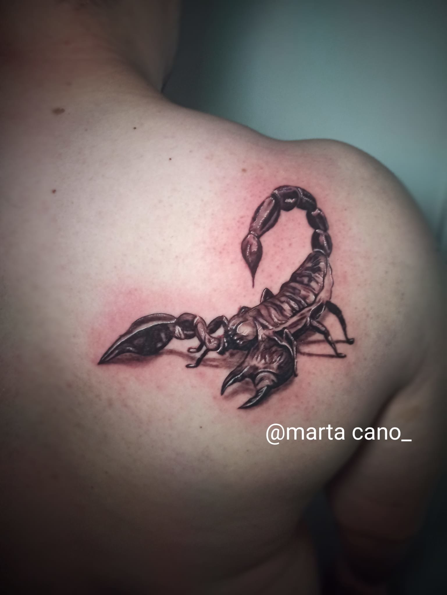 tatuaje escorpion 3D - Circe Tattoo