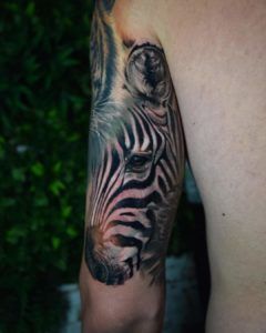 Cebra estilo realismo en el brazo