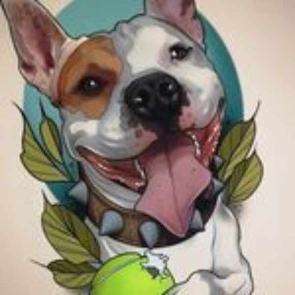 Ilustración pit bull Ilustración de un pit bull