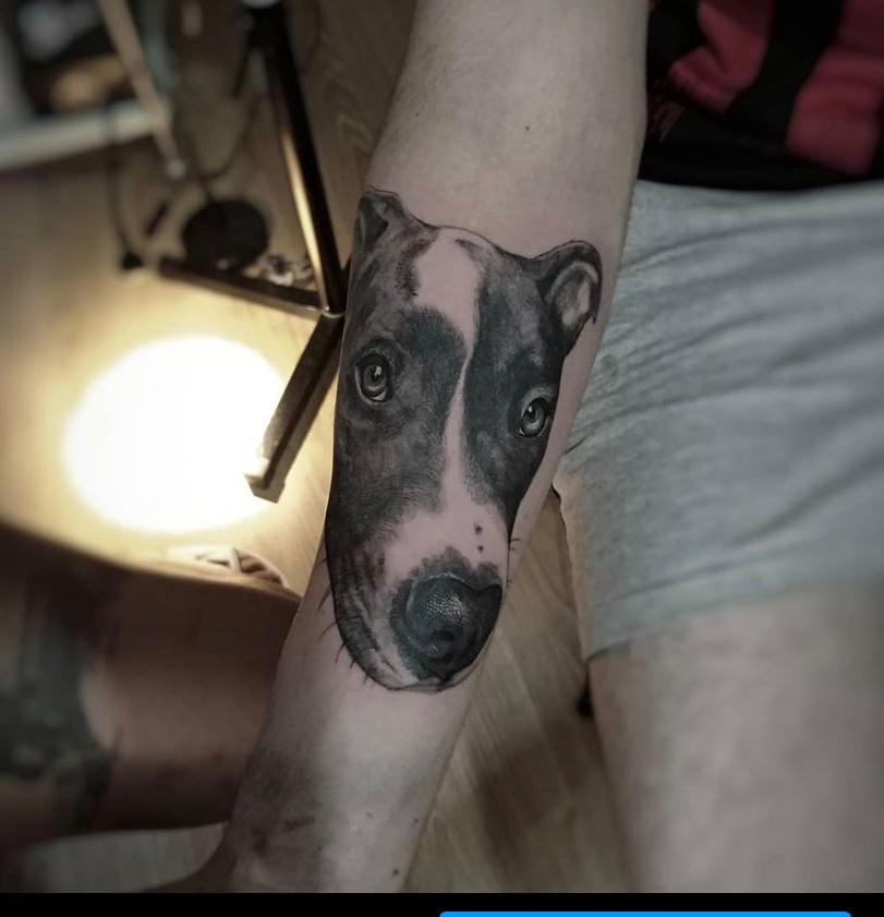 tatuaje de perro estilo realista en el antebrazo