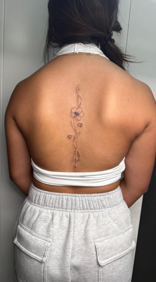 IMG-20251121-WA0017 IMG-20251121-WA0017