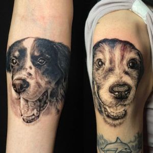 retratos de perro realismo