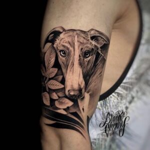 tatuaje galgo estilo realismo en el brazo