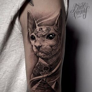 tatuaje de un gato imperial de estilo realismo