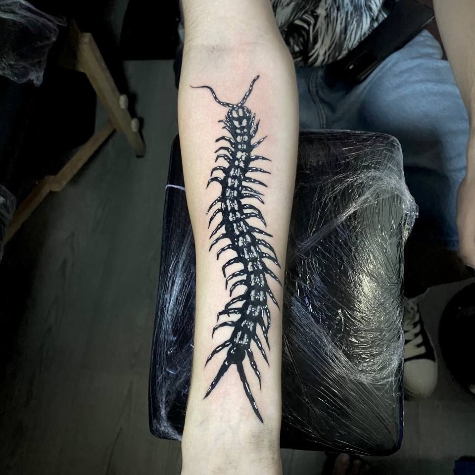 tatuaje blackwork realista ciempiés