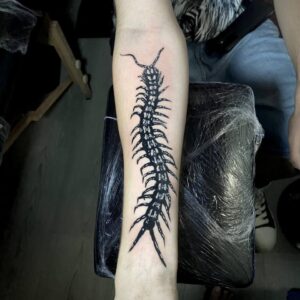 tatuaje blackwork ciempiés