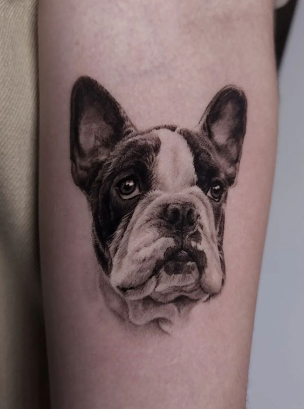 Tatuaje bulldog realista