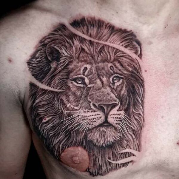 José Revilla 1000097491 José Revilla 1000097491