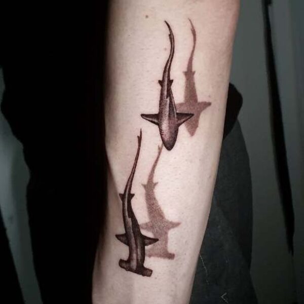 José Revilla 1000097833 José Revilla 1000097833