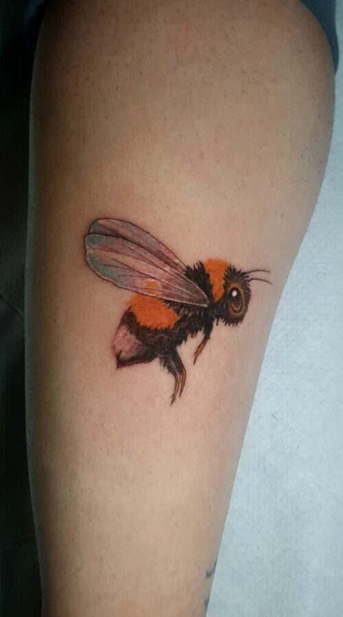 Galería 2026 Galería 2026