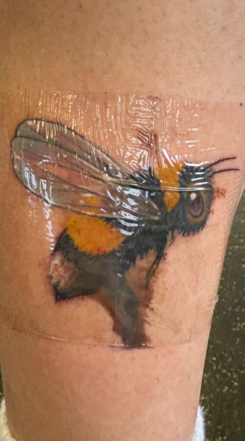 1767946905697 1767946905697