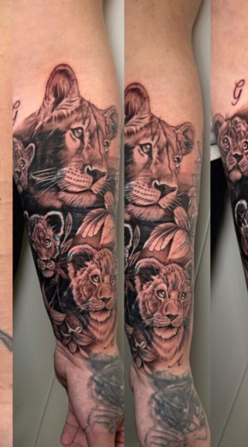 1771436891991 1771436891991