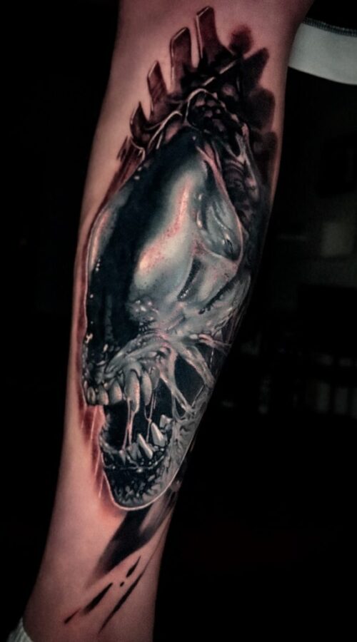 515934165_18072232516974271_8028996392263336023_n 515934165_18072232516974271_8028996392263336023_n