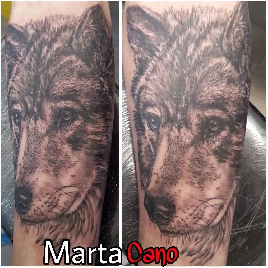 tatuaje realista de un lobo en el antebrazo