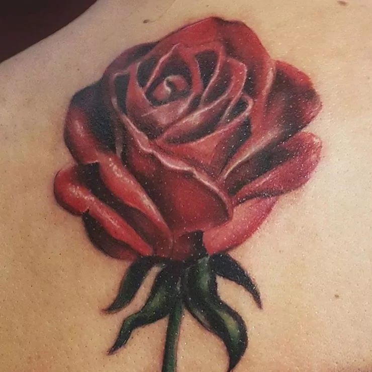 tatuaje realista de una rosa