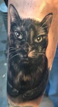 Tatuaje de un gato estilo realismo