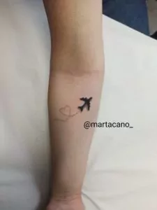 avión minimalista