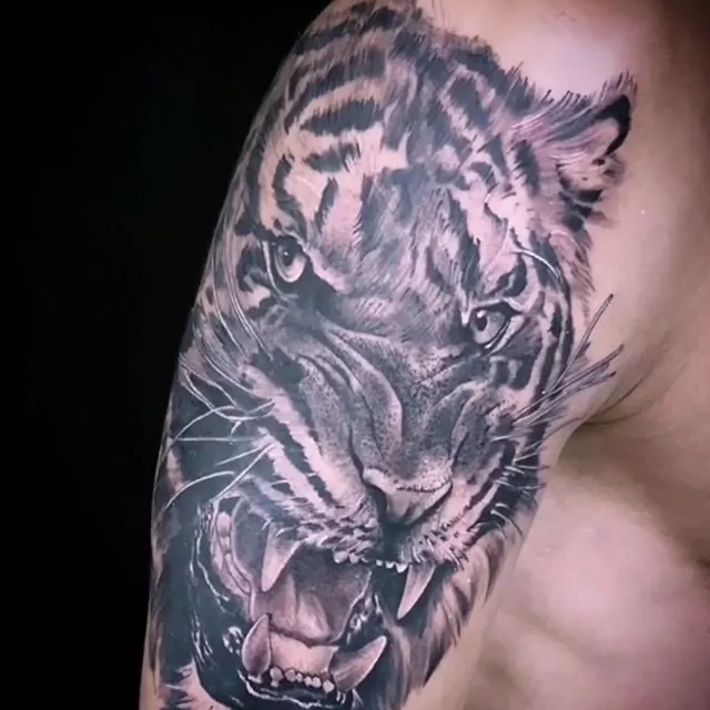 tatuajes tigres