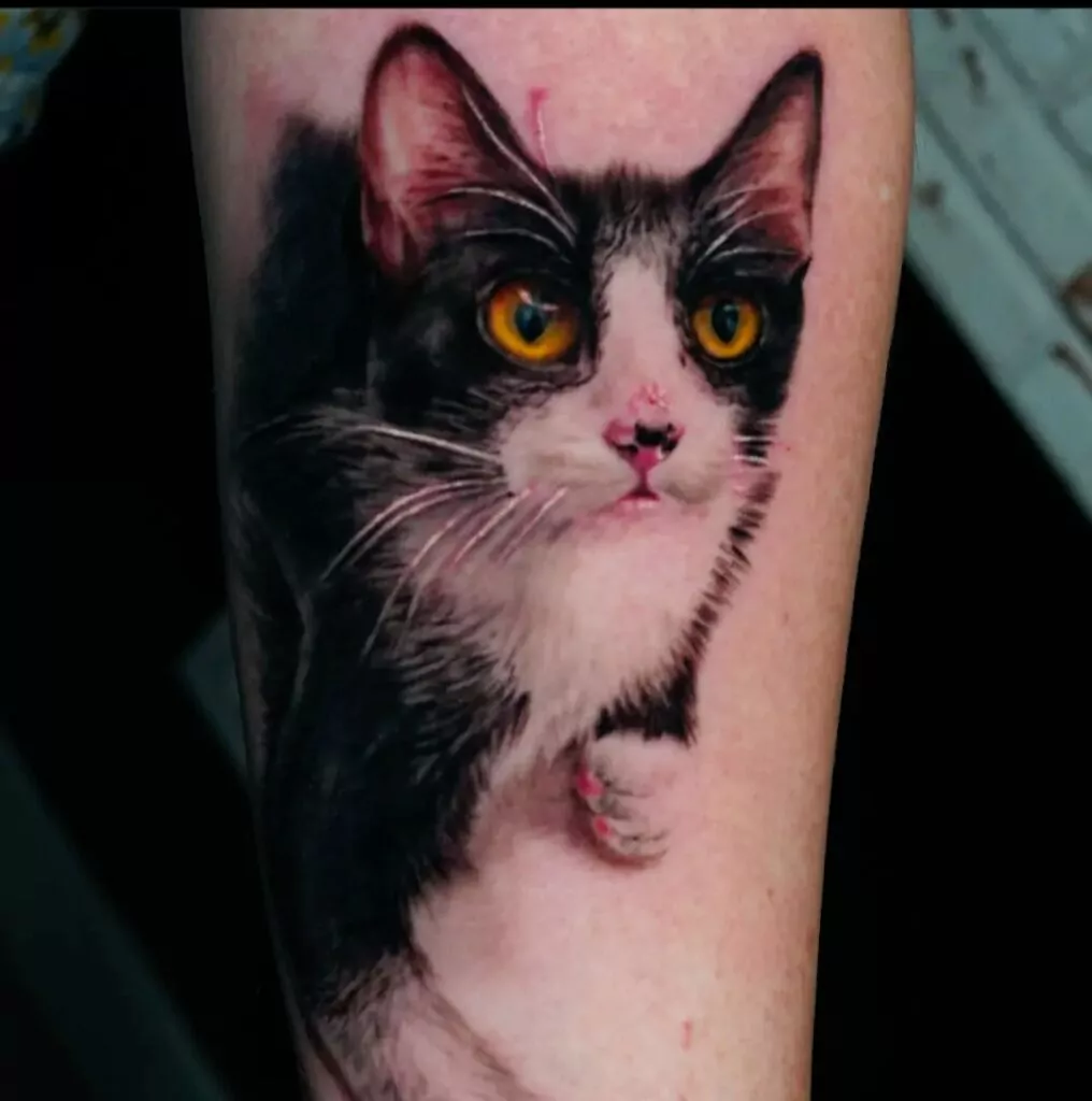 tatuaje realismo gato
