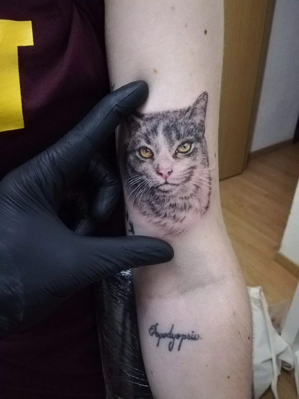 Tatuaje gatos