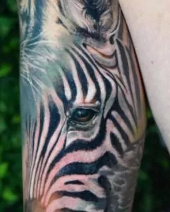 tatuajes realismo de zebra