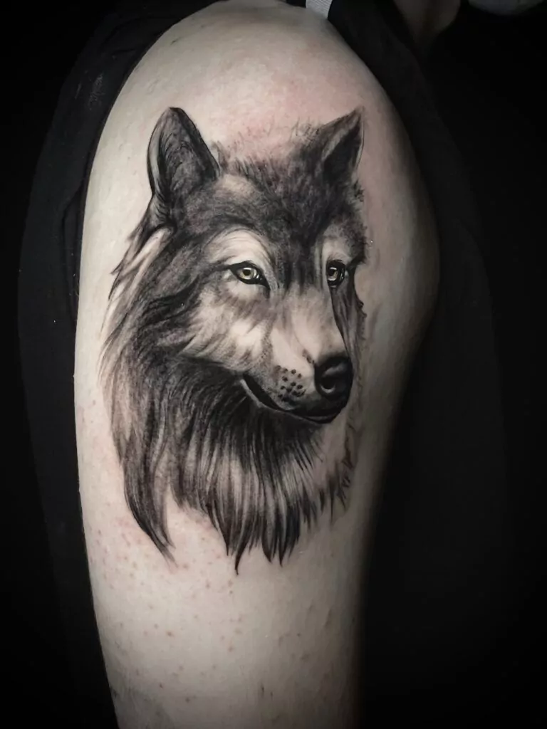 tatuaje lobo estilo realista