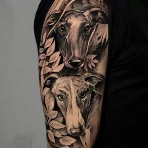 tatuaje perros galgos estilo realismo