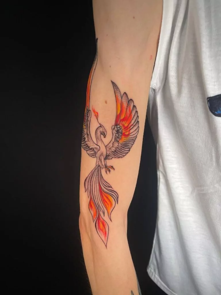 tatuaje aves fénix en el brazo