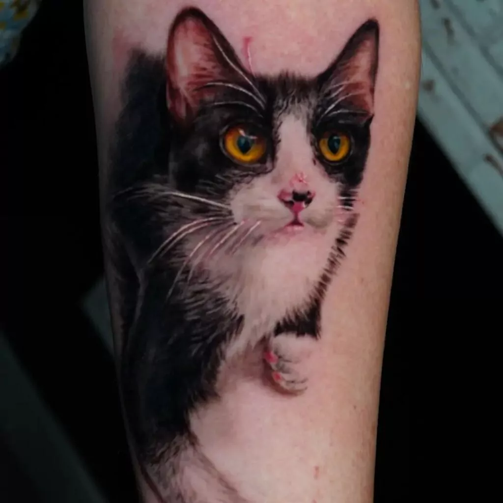 tatuaje realismo gato