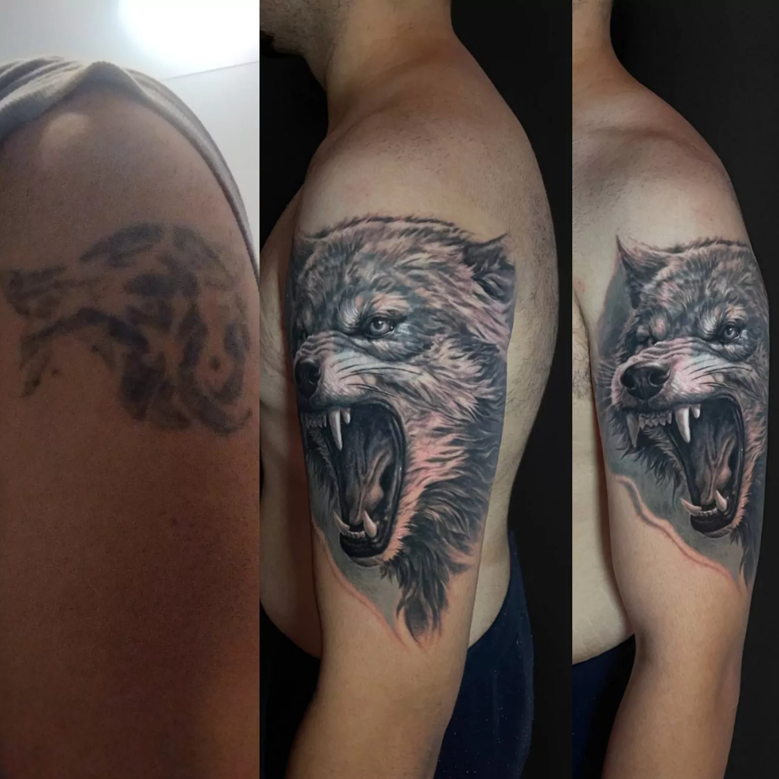 tatuaje cover up de un lobo