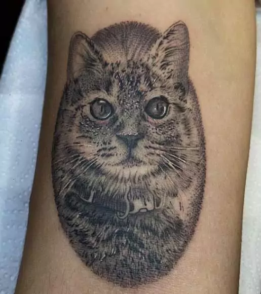 Tatuaje retrato de gato animalista gato Black Work