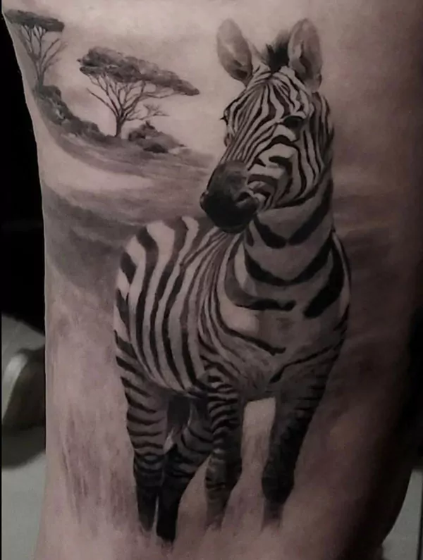 Tatuaje zebra realista